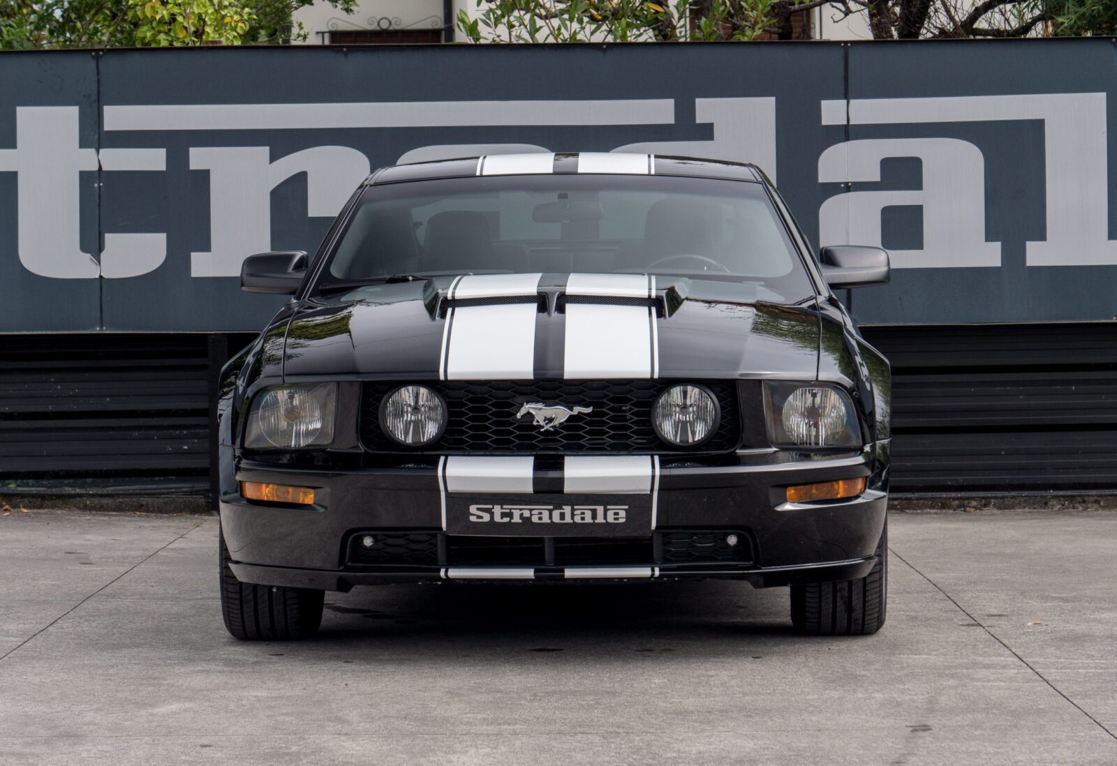 Ford Mustang GT - imagen 6