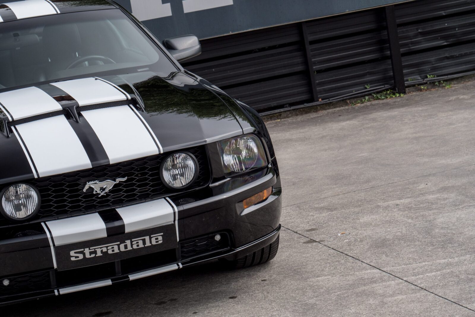 Ford Mustang GT - imagen 7