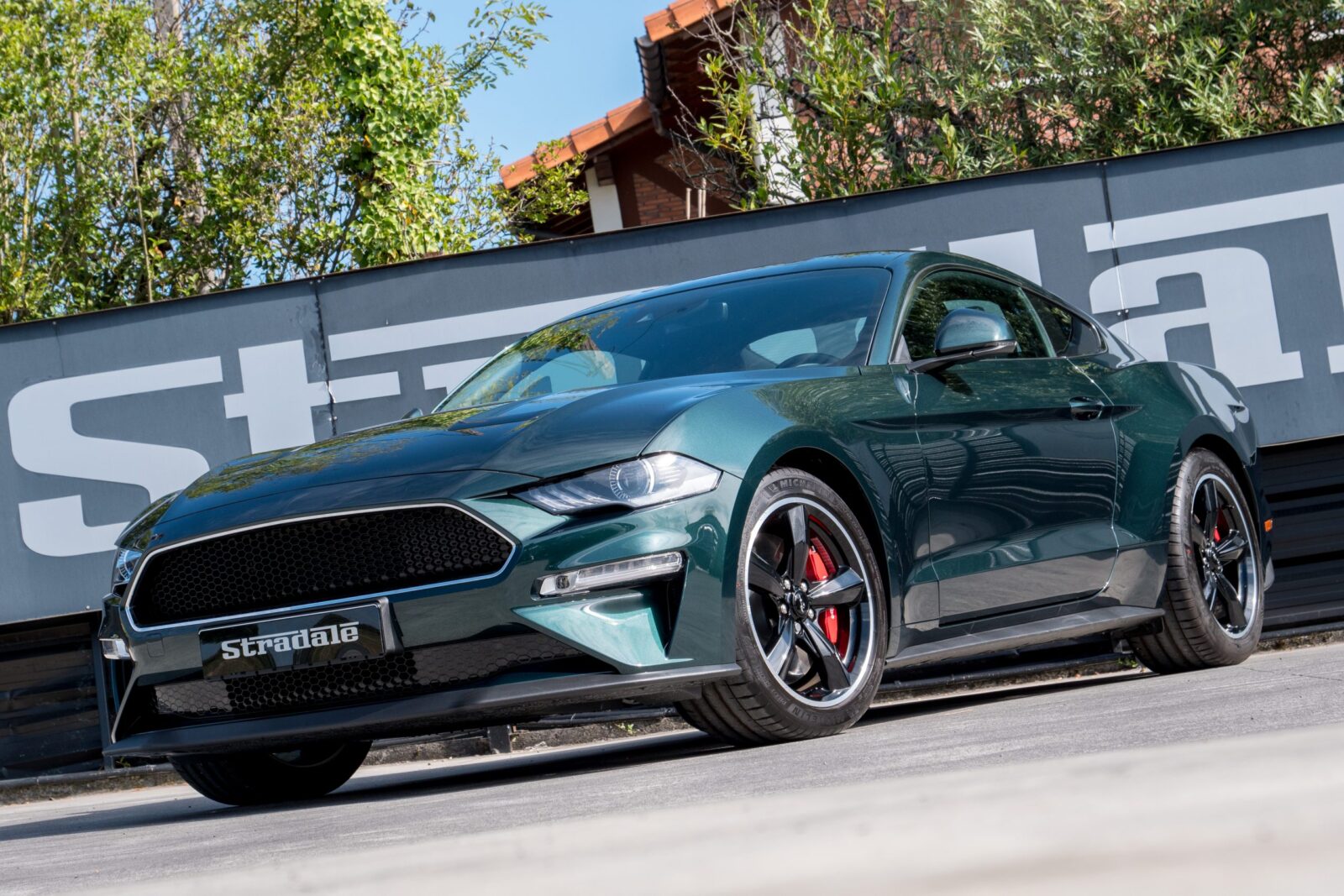 Ford Mustang GT Bullit - imagen 3