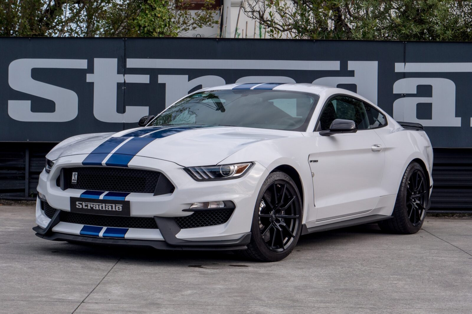 Ford Shelby GT 350 - imagen 2