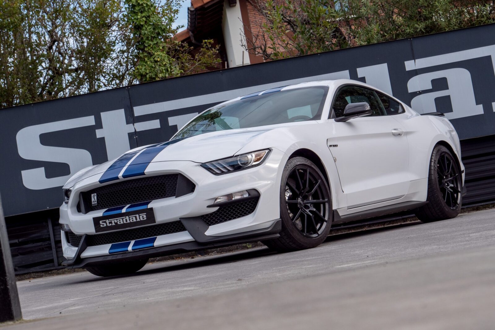 Ford Shelby GT 350 - imagen 3