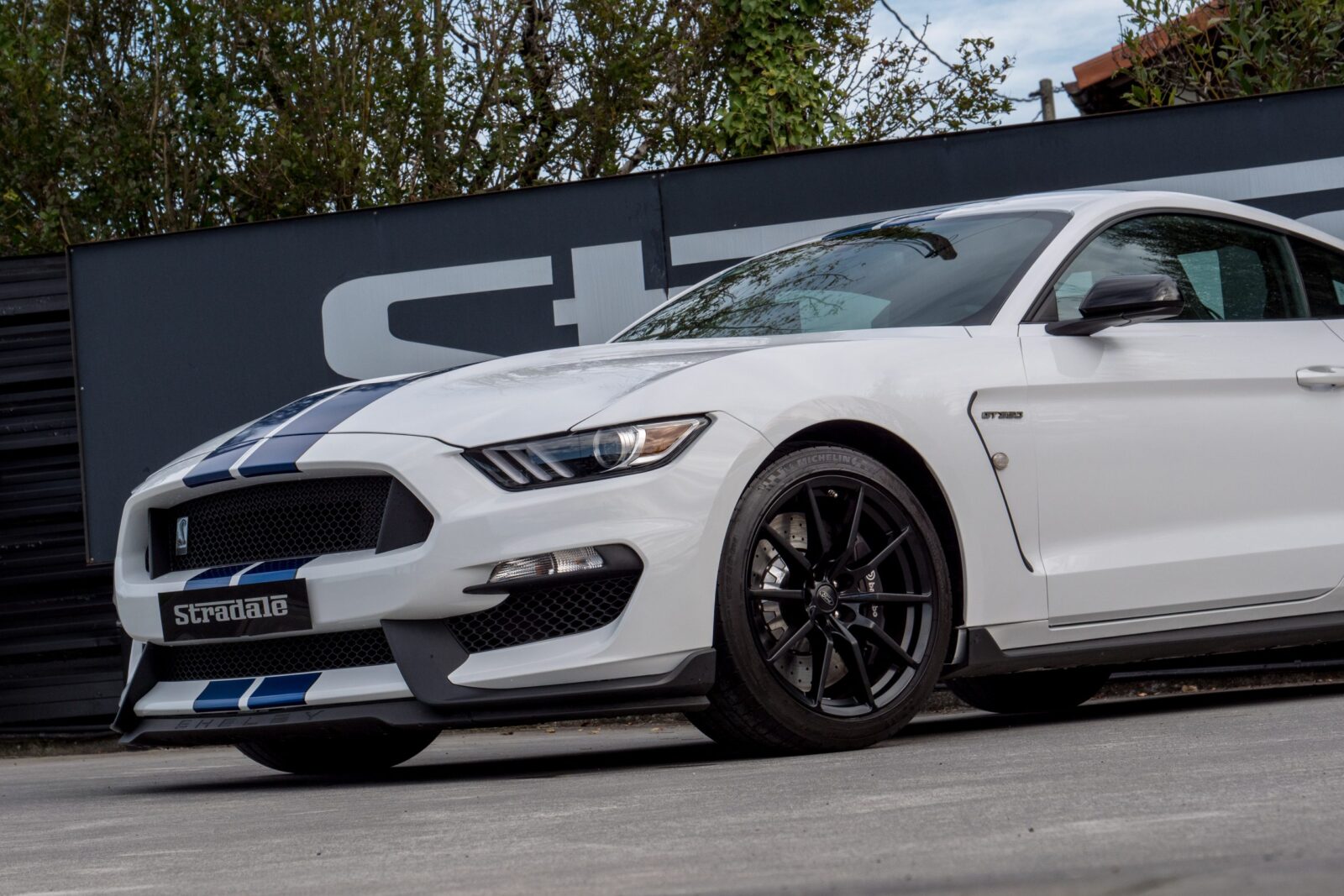 Ford Shelby GT 350 - imagen 5
