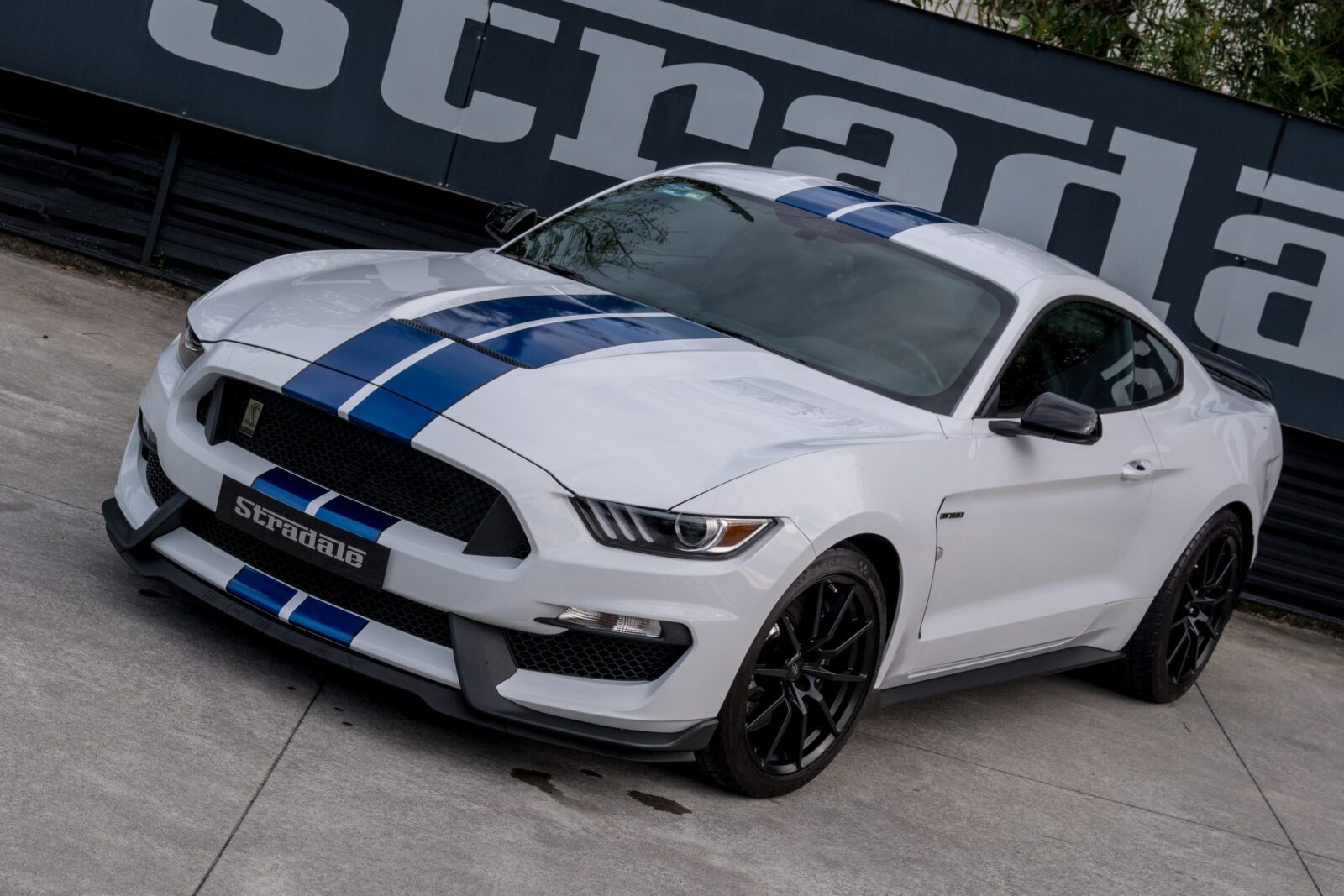 Ford Shelby GT 350 - imagen 6