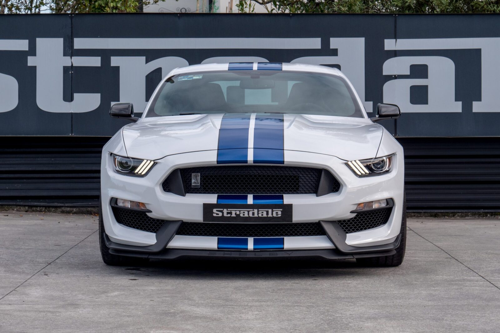 Ford Shelby GT 350 - imagen 7