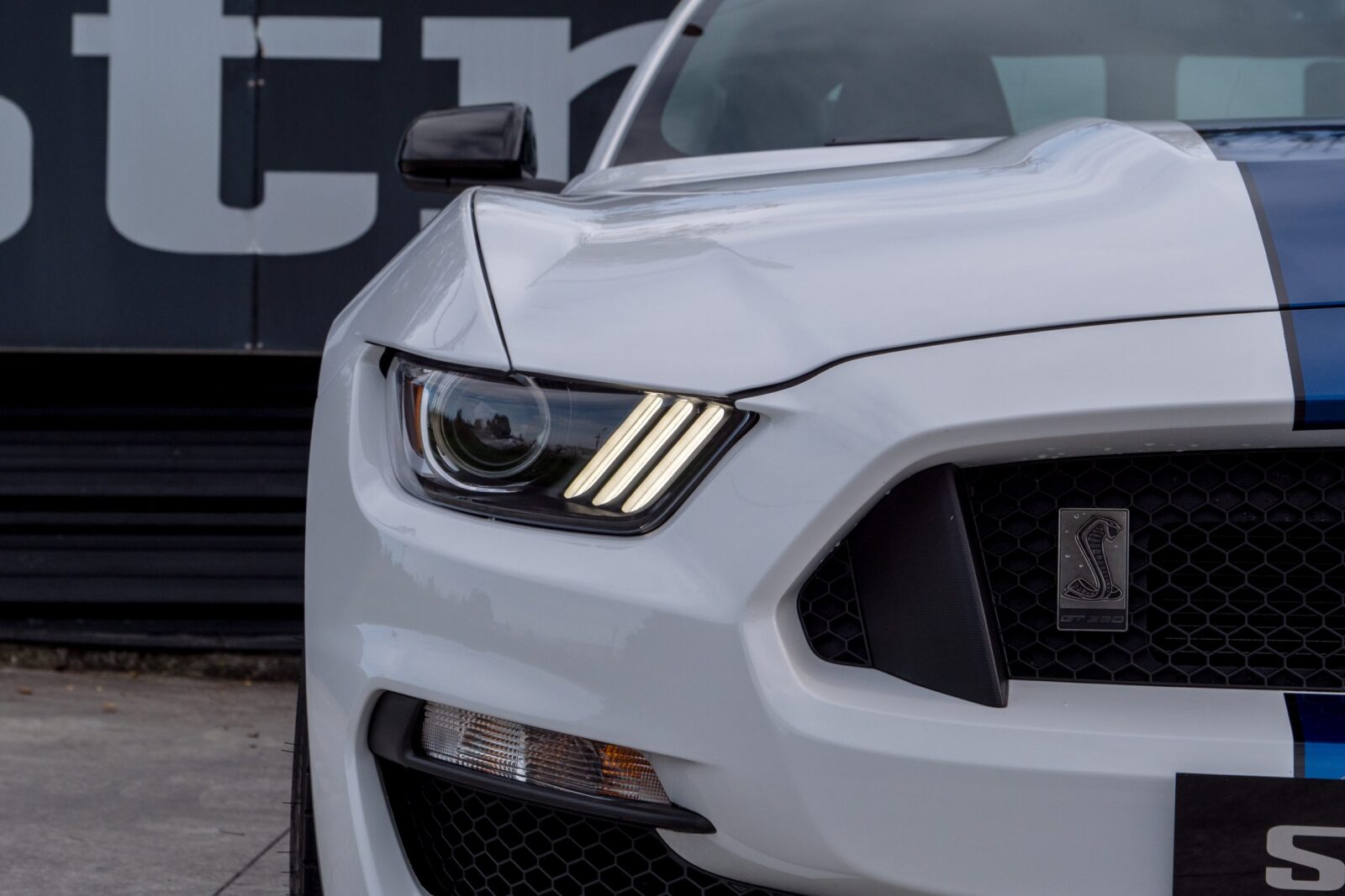 Ford Shelby GT 350 - imagen 8