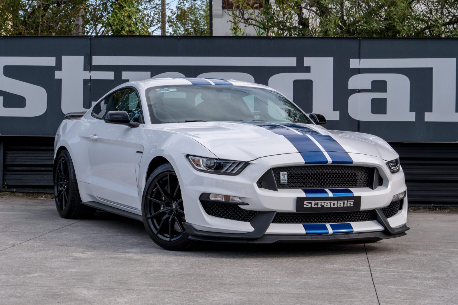 Ford Shelby GT 350 - imagen 1