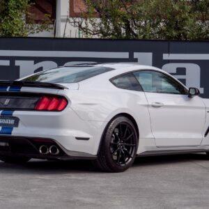 Ford Shelby GT 350 - foto 14