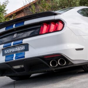 Ford Shelby GT 350 - foto 18