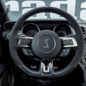 Ford Shelby GT 350 - foto 28