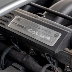 Ford Shelby GT 350 - foto 45