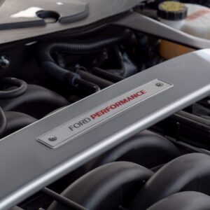 Ford Shelby GT 350 - foto 46