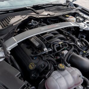 Ford Shelby GT 350 - foto 47