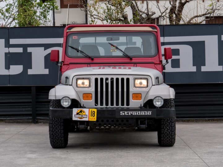 Jeep Wrangler Jurassic Park - foto 7