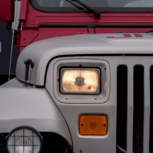 Jeep Wrangler Jurassic Park - foto 9