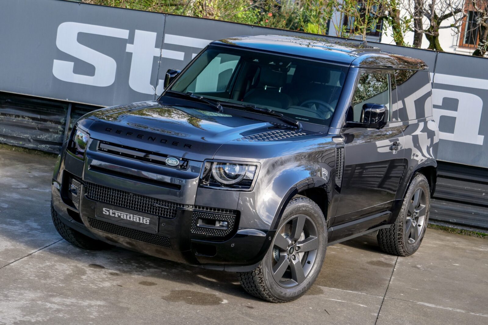 Land Rover Defender 90 3.0D - imagen 6