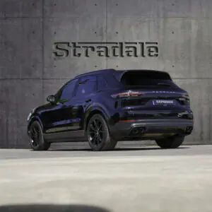 Porsche Cayenne E-Hybrid - foto 31