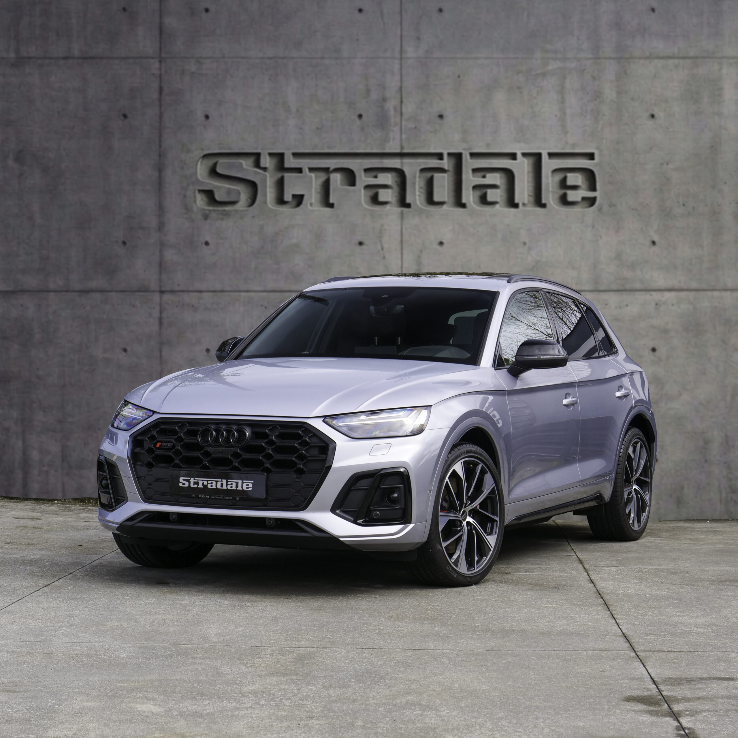 Audi SQ5 - imagen 1